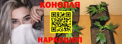 apvp Малоярославец