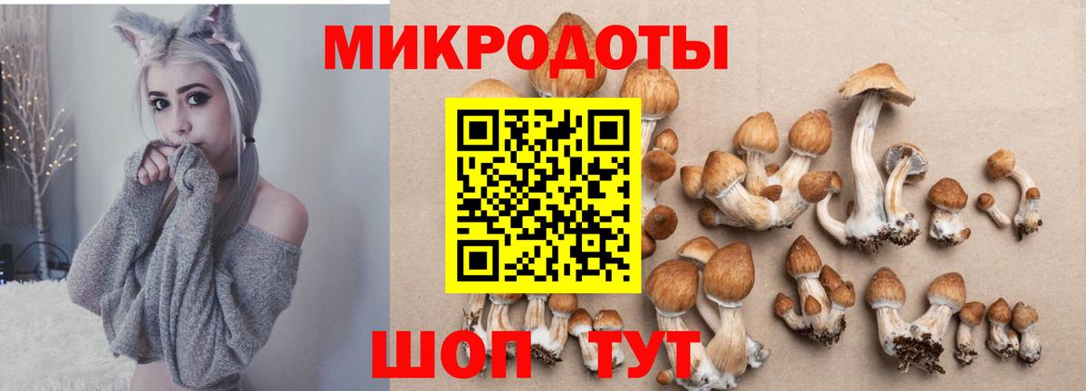 Галлюциногенные грибы Magic Shrooms Еманжелинск